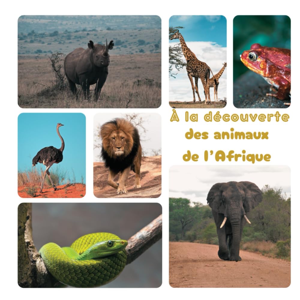 À la découverte des animaux de l’Afrique