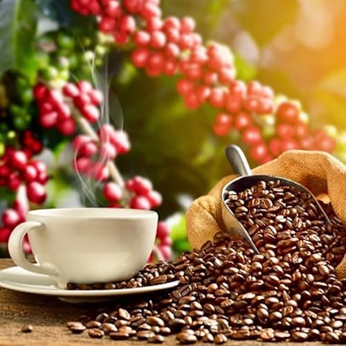 Miniatura 3 de Royal Kona mezcla de café 10% Kona, sabor vainilla macadamia  molido, bolsa de 8 onzas