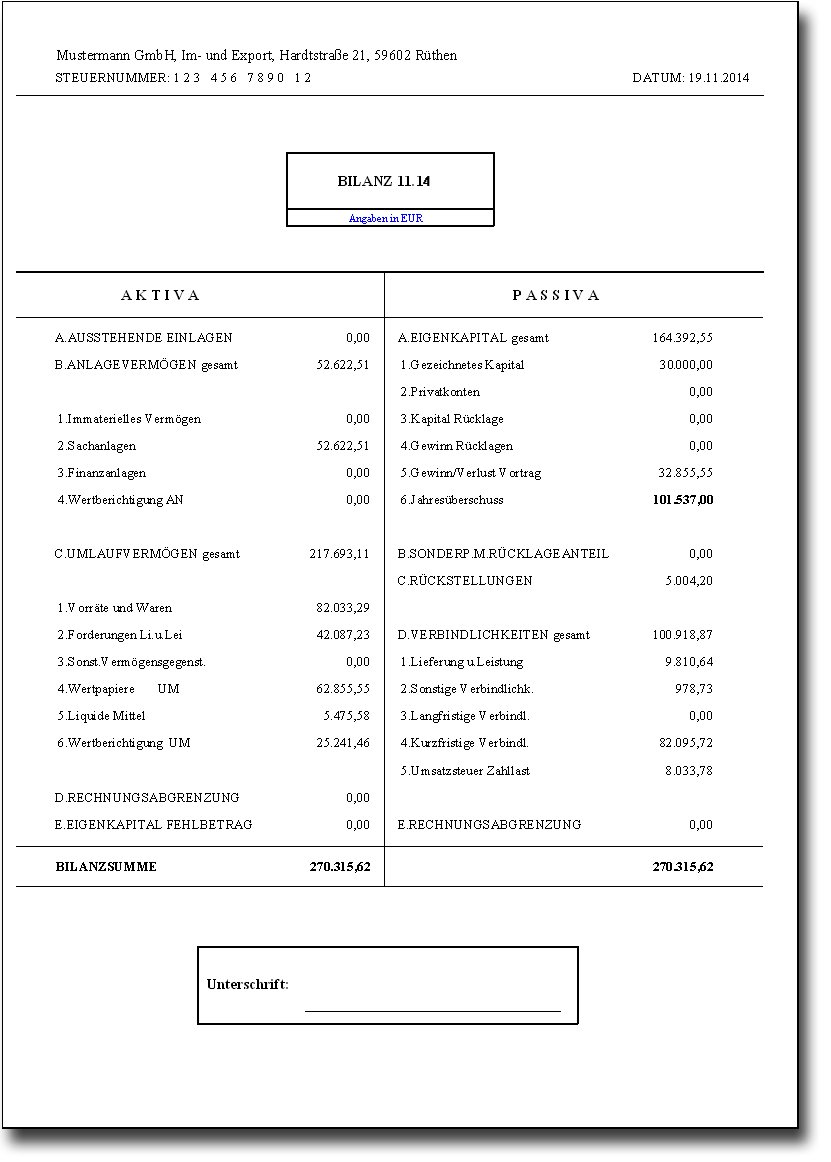 fibuman f Jahresversion 2020, Finanzbuchhaltung, Bilanzieren leichtgemacht! Neueste Version