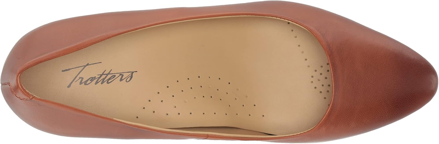 24神さま専用 特大55㎝アラフラオオニシ法螺貝＋口金リング付き 24