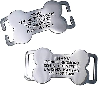 LuckyPet Personalized Chew Proof Stainless Small fits