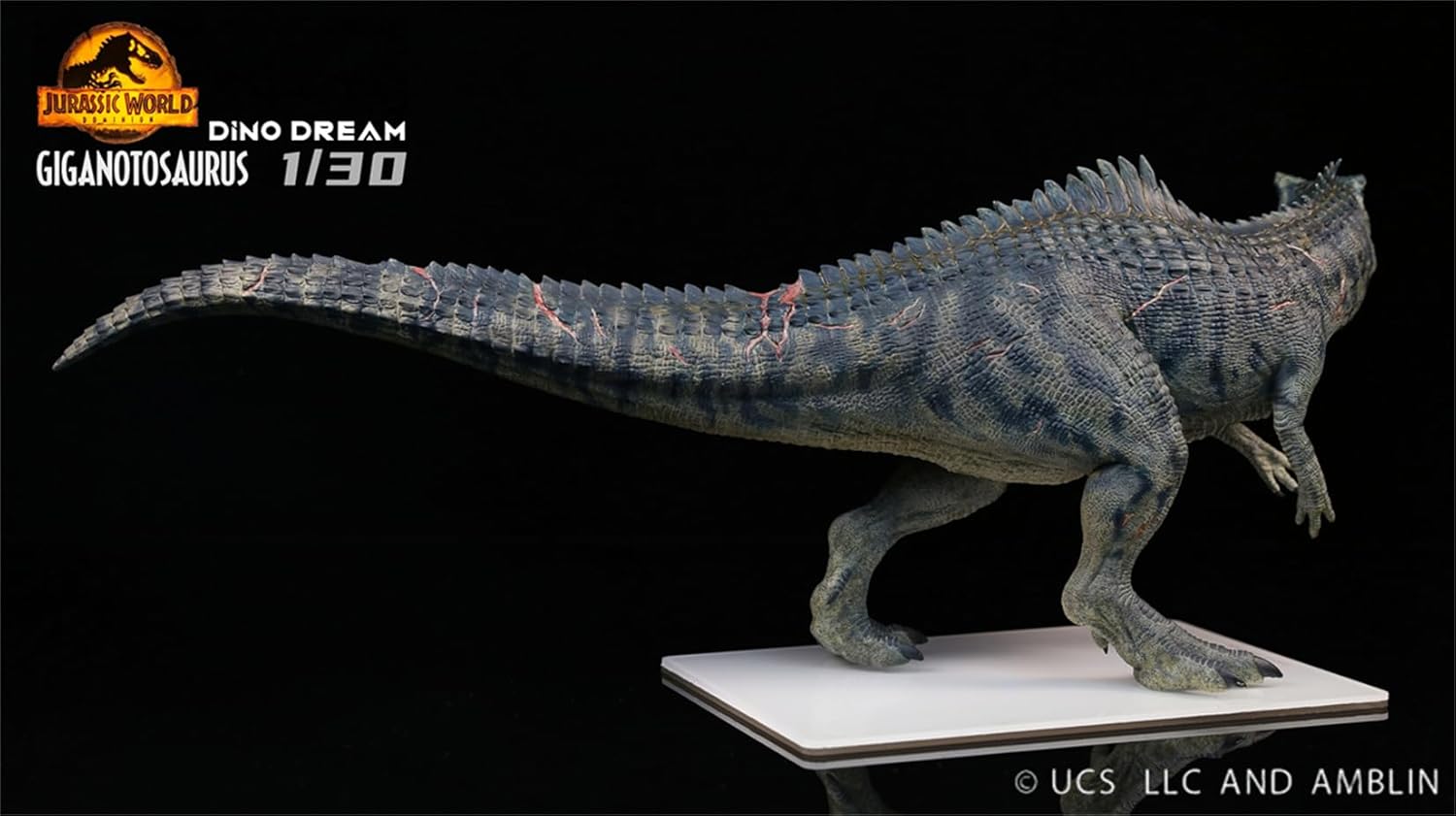 DINO DREAM 限定版 ギガノトサウルス DINO DREAM 限定版 ギガノト