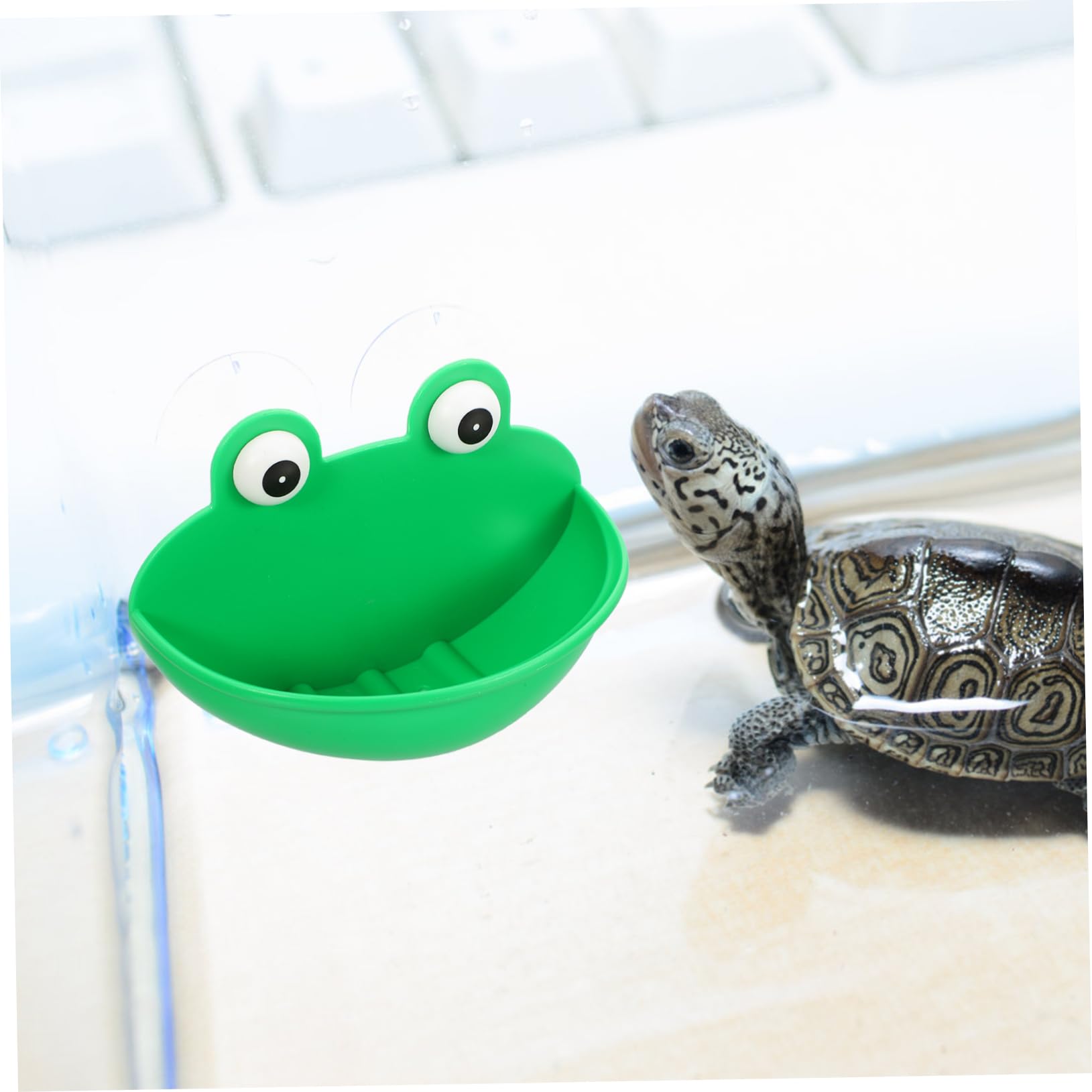 Beaupretty 6piezas Plataforma Decorativa para Terrario De Reptiles De Descanso y Alimentación para Mascotas Accesorios Multifuncionales para Decoración De Terrarios