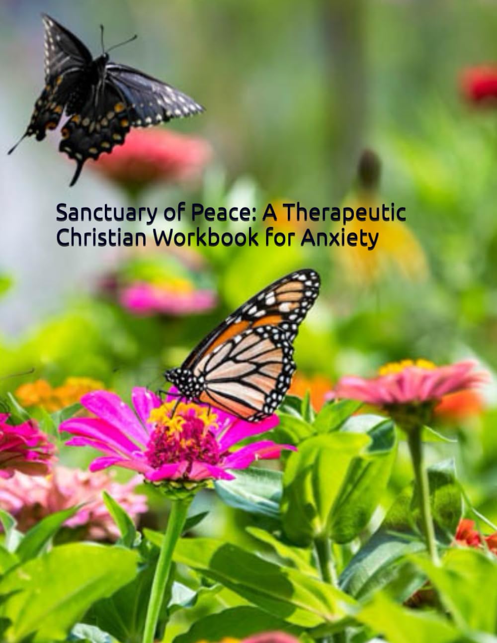 Sanctuary of Peace: A Therapeutic Christian Workbook for Anxiety