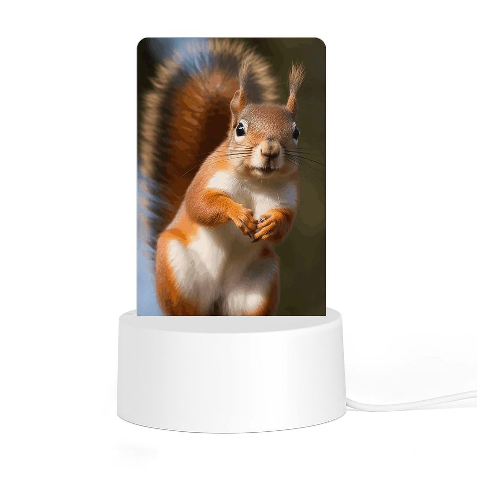 JTREHY Acrylic Night Light with Base, Squirrel Funny Animal Printed Desktop Night Light LED Bedside Night Light for Bedroom, Bathroom, Corridor, Holiday Gift