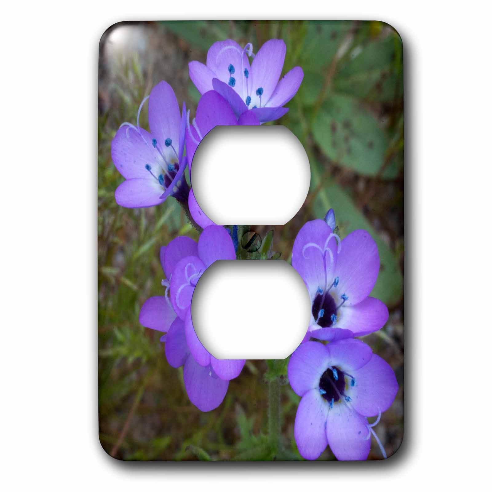 Bouchon de prise de sortie mixte 3dRose lsp_258941_6 California Davy Gilia Latiflora