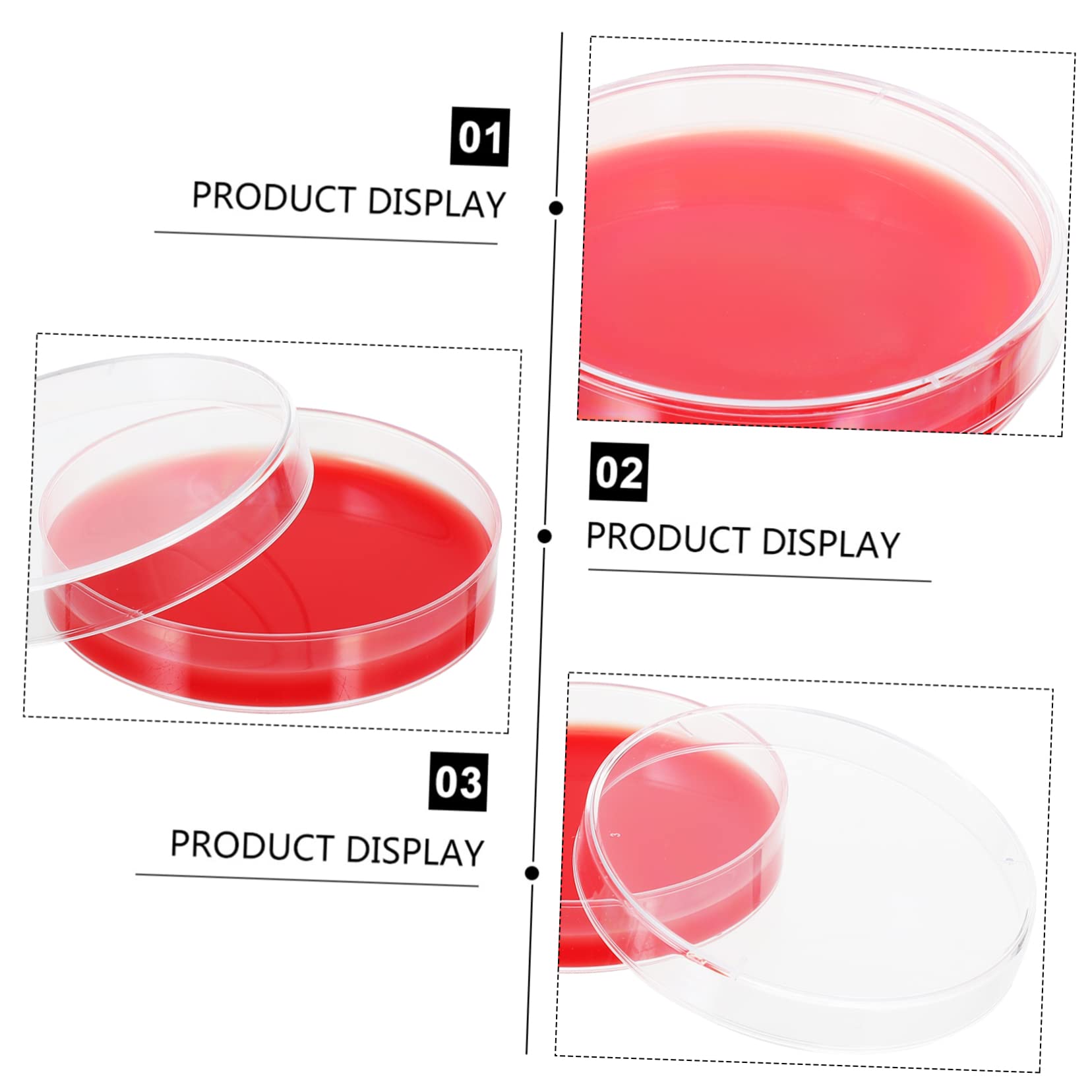 Gatuida 2 Placas de Agar Placa de Petri Medio de Cultivo de Agar Resistente Y Ligero Fácil de Usar 10 Unidades