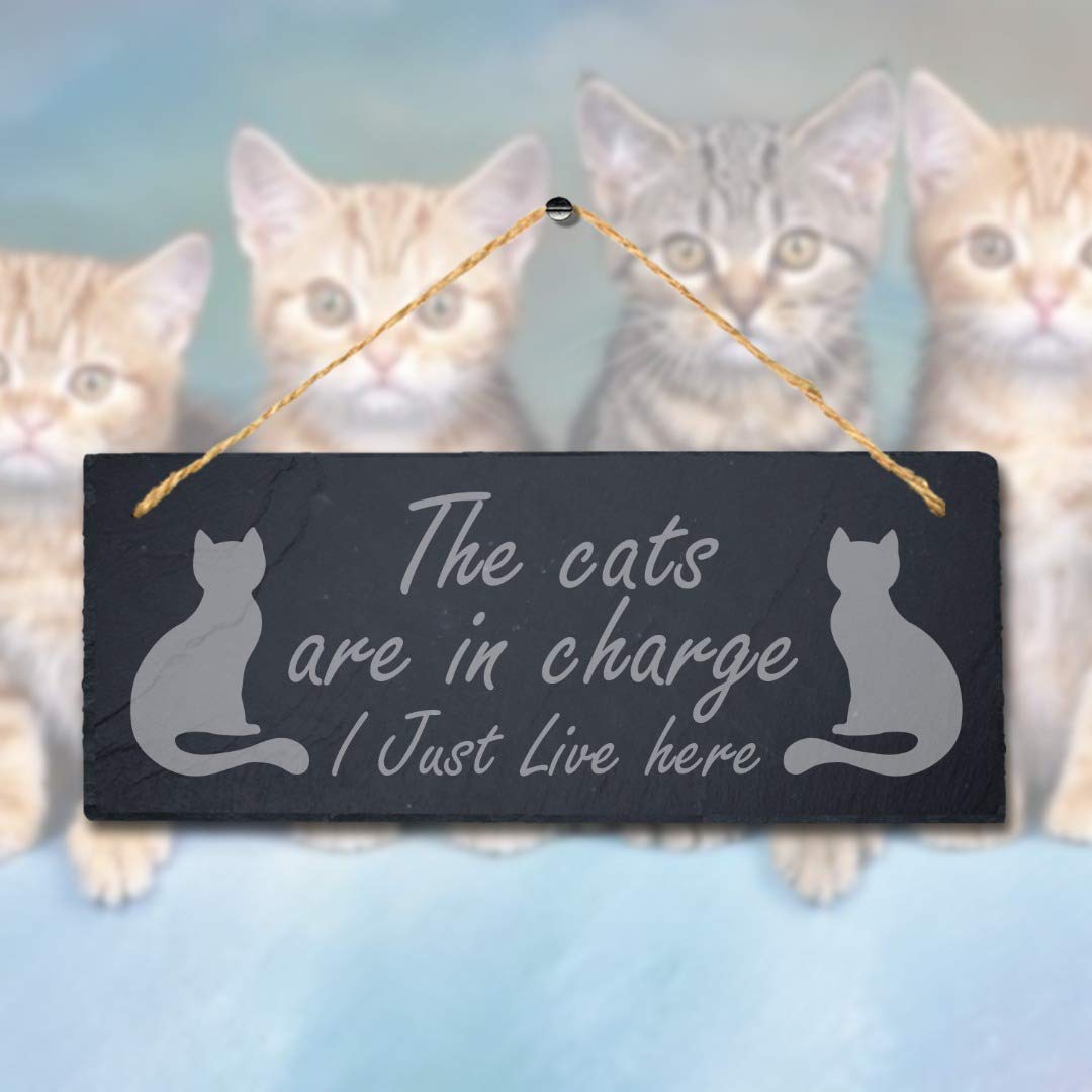 Stukk Dogs Pet Funny Laser Hanging Kitten Pup Puppy Home (Cats are in Charge), Natural Engraved Slate Stone Plaque, 30x12cm (Large) - Image 2