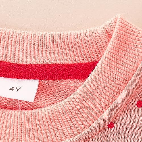 Image of Bumeex Girls Cotton Crewneck Cute Sweatshirts The Hedgehog and The Fox Pink 2-7T
