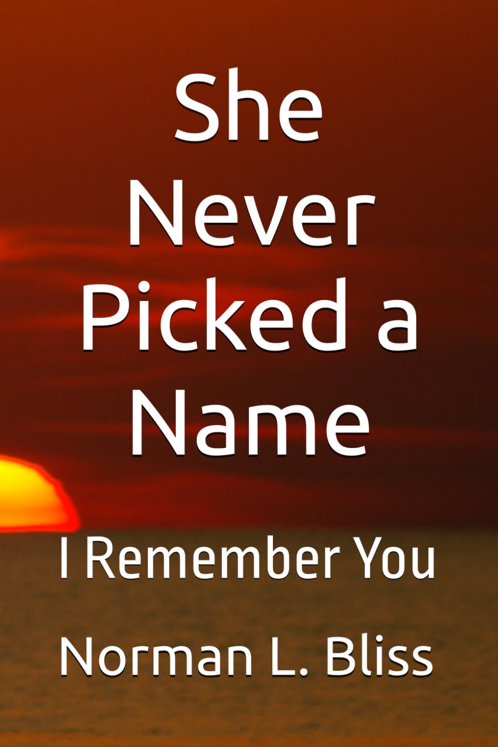 She Never Picked a Name Book 2: I Remember You