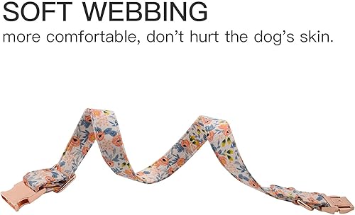 Miniatura 5 de Collar de perro con hebilla de metal, duradero y ajustable, suave para perros pequeños, medianos y grandes
