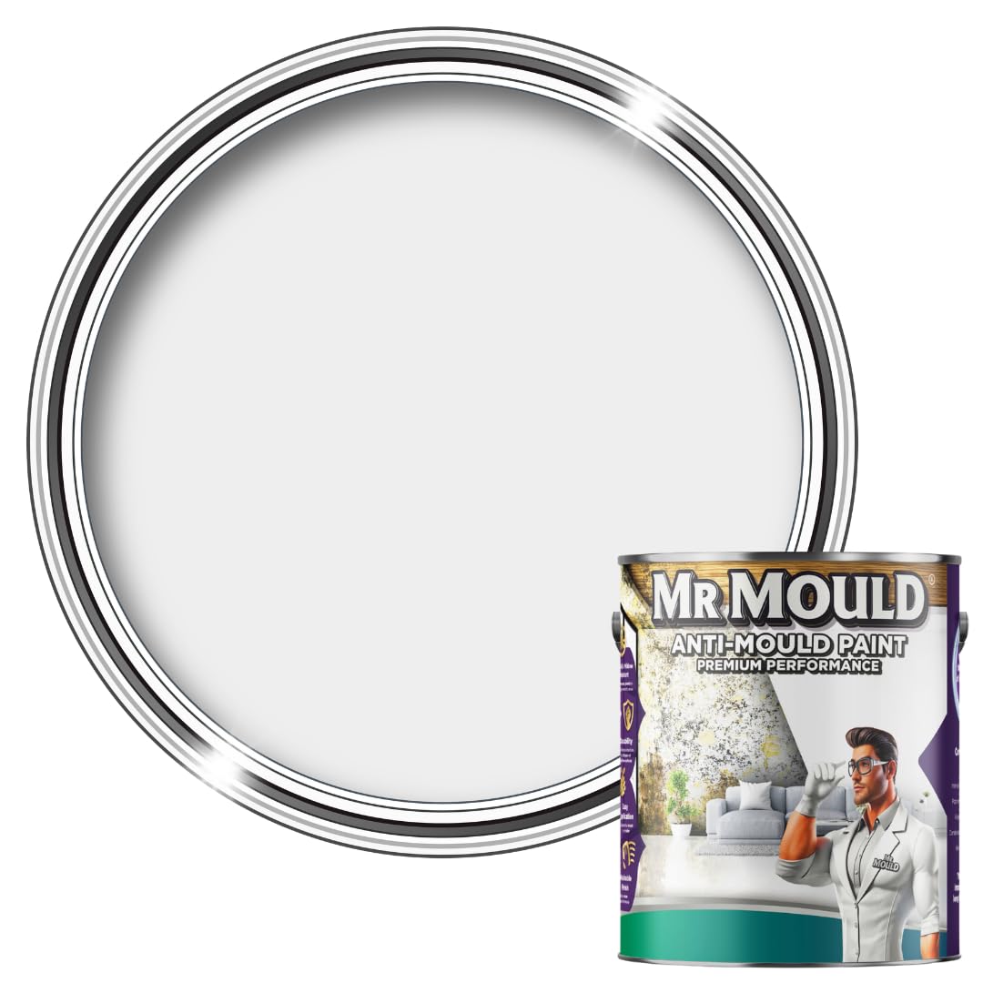 Mr Mould Anti Damp Paint Light Grey 0.5L – Anti-Condensation & Damp Proof Seal for Walls & Ceilings – Prevents Mould, Mildew & Moisture Build-Up – Long-Lasting, Low Odour, Easy to Apply Interior Paint