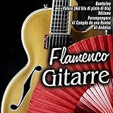 flamenco gitarre lernen buch  Flamenco Gitarre