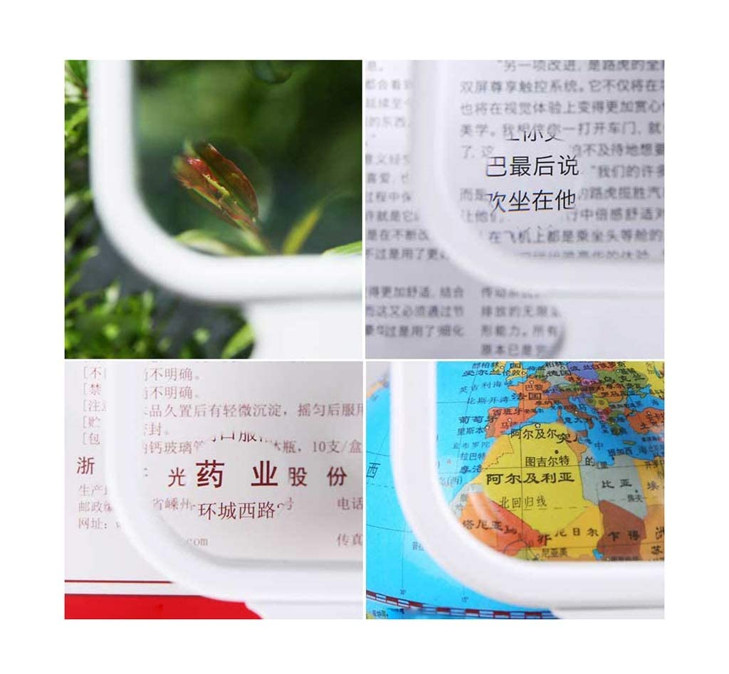 Lupa de Mano con luz, Lente PMMA Plegable 4 LED, para Leer Libros, Publicidad, Instrucciones, periódicos, Contenido de teléfonos móviles, apreciación de Joyas, exploración de Campo, Plantas