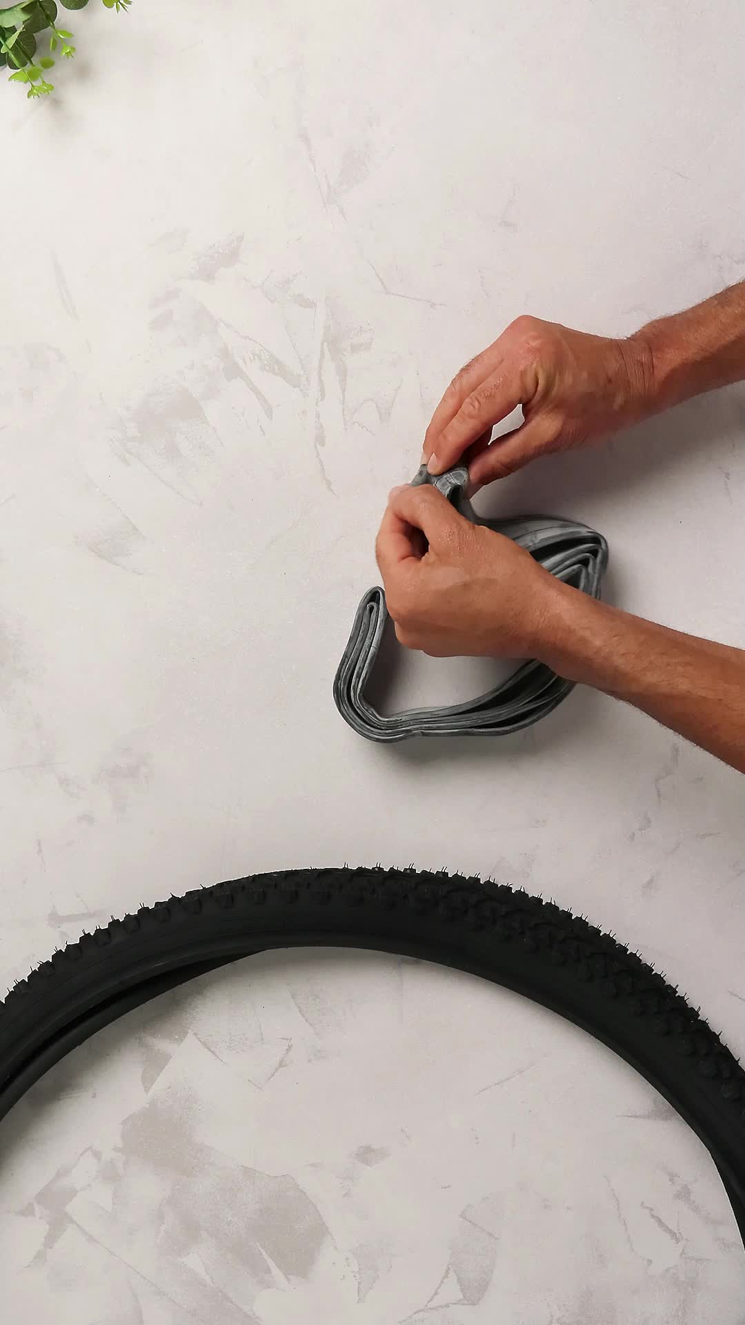 ECOVELO' 2 COPERTONI MTB 26 x 1.95 (50-559) 2 CAMERE D'ARIA PER MTB BICICLETTA NERO BICI MOUNTAIN BIKE ECOVELO' 2 COPERTONI MTB 26 x 1.95 (50-559) 2 CAMERE D'ARIA PER MTB BICICLETTA NERO BICI MOUNTAIN BIKE