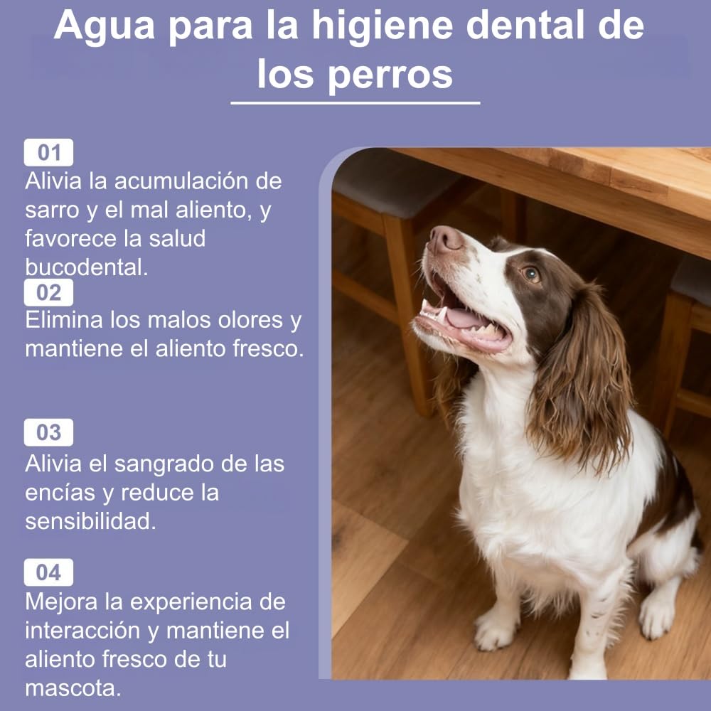 MEIION Balyxe Enjuague bucal para Perros - Elimina Mal Aliento, Refresca y Promueve Encias - Hogar y Exterior