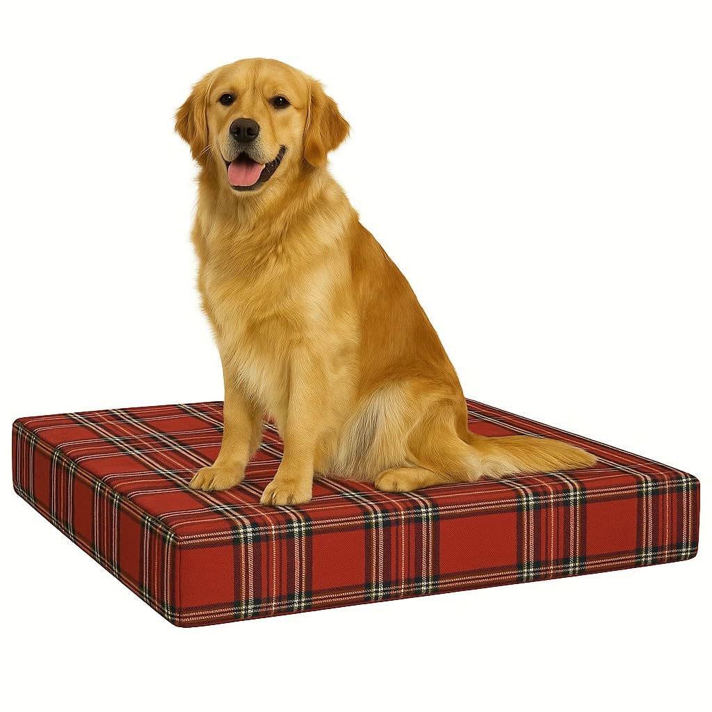 FOAMSUPA Heavy Duty Pet Dog Bed Mattress Mat Cushion with Tough Waterproof cover (Red Check, Small 60cm x 45cm x 5cm – 24″ x 18″ x 2″)