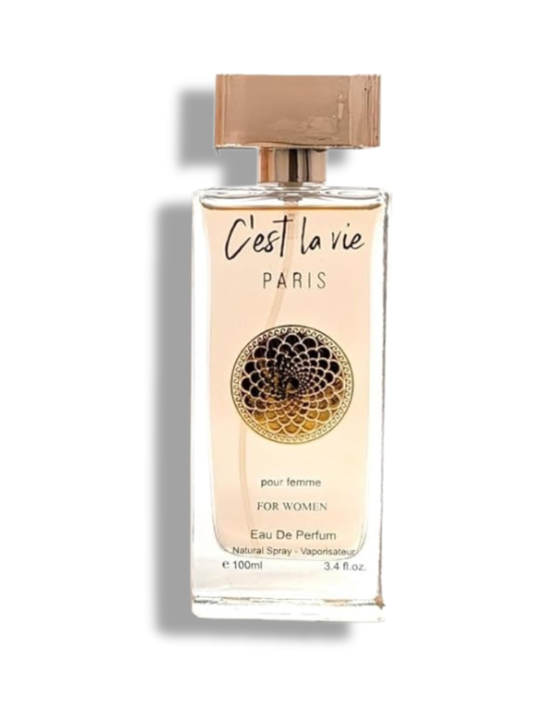 Amazon.com : C'est La Vie PARIS POUR FEMME EAU DE PARFUM 3.4 FL