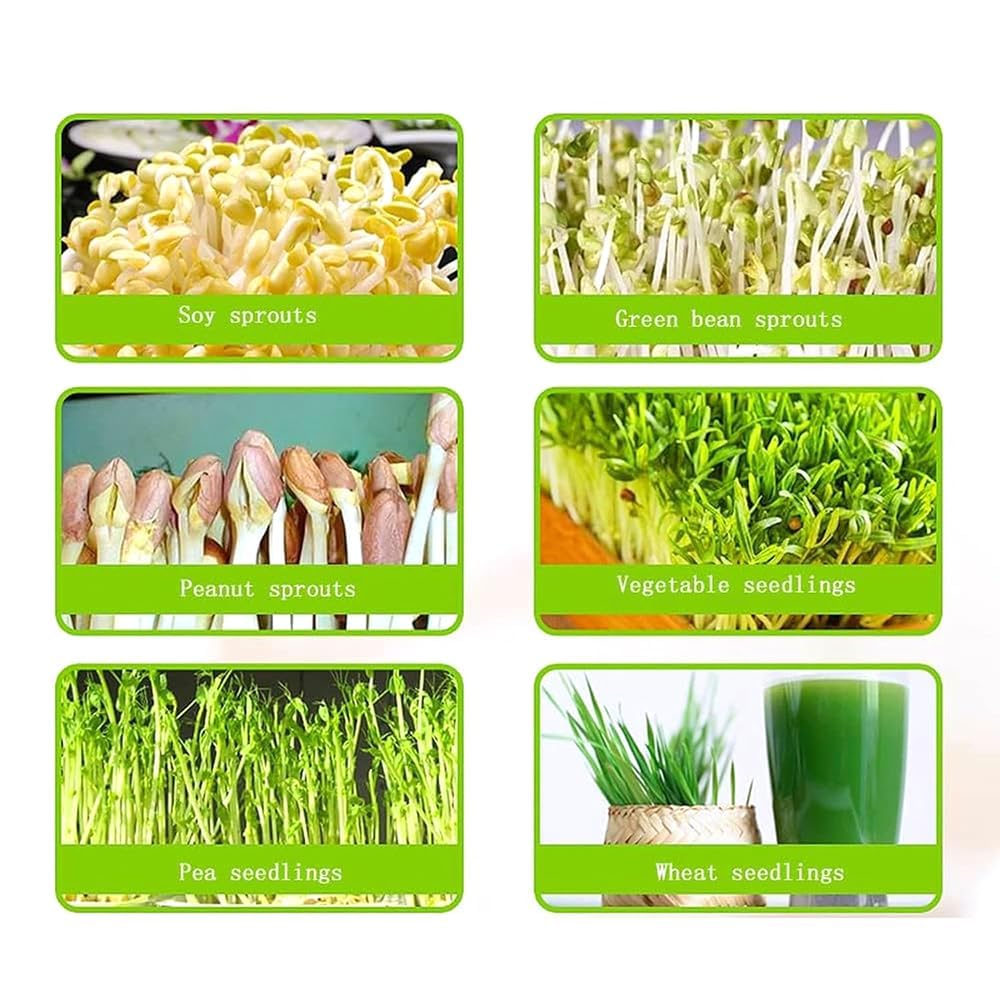 Máquina de brotes de frijol, sistema de cultivo de 2 capas con placa de presión, riego automático de 360°, modo de siembra de 4 estaciones para cultivar brotes de frijol fresco