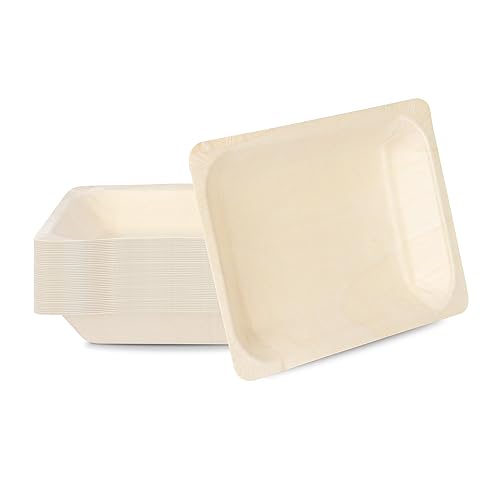 Restaurantware - Taipei 8.7 x 6.7 Inch Serving Plates, 50
