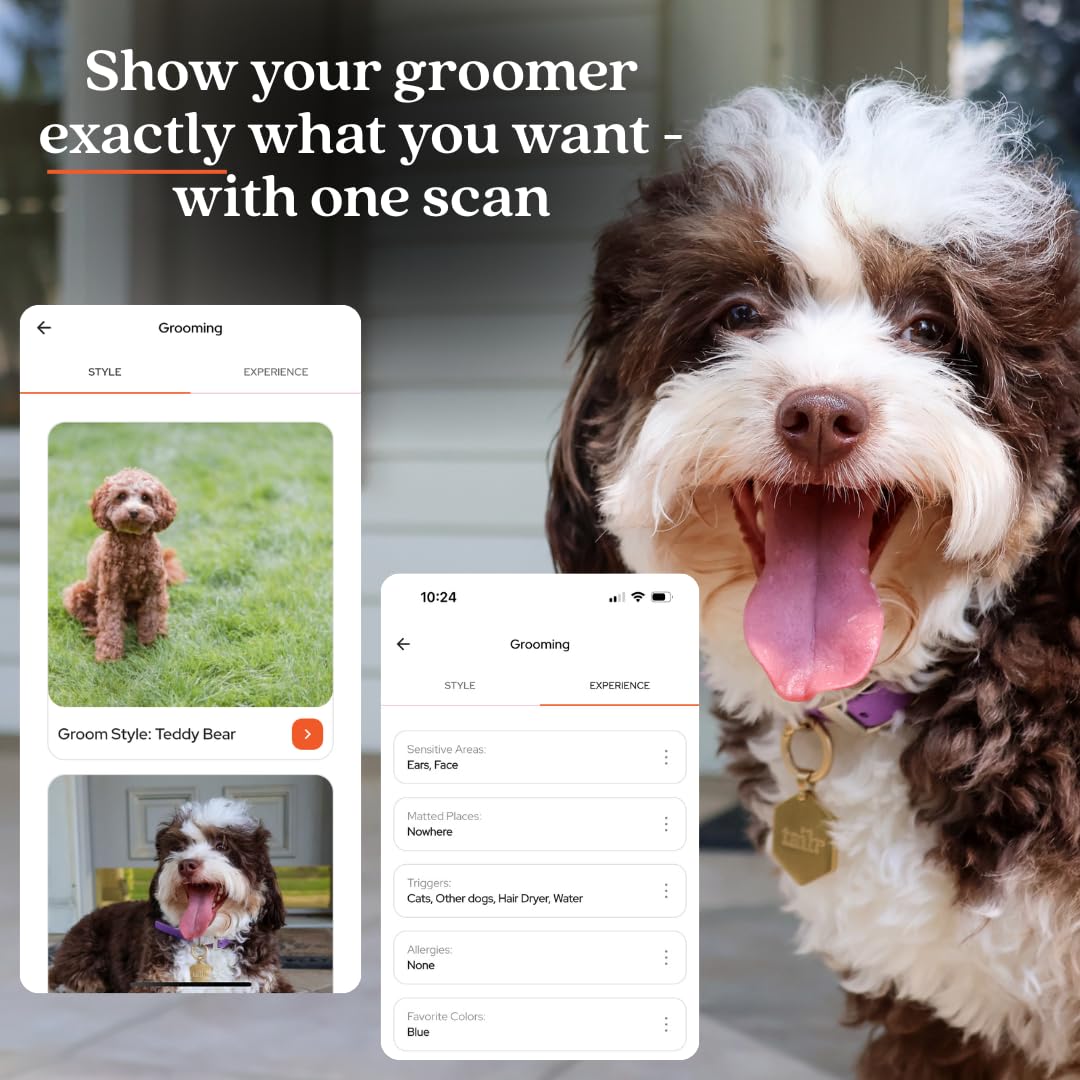 Medaglietta identificativa per animali domestici, con codice QR, medaglietta per cani di grandi dimensioni, etichetta per gatti, profilo personalizzato, include app gratuita per la gestione degli