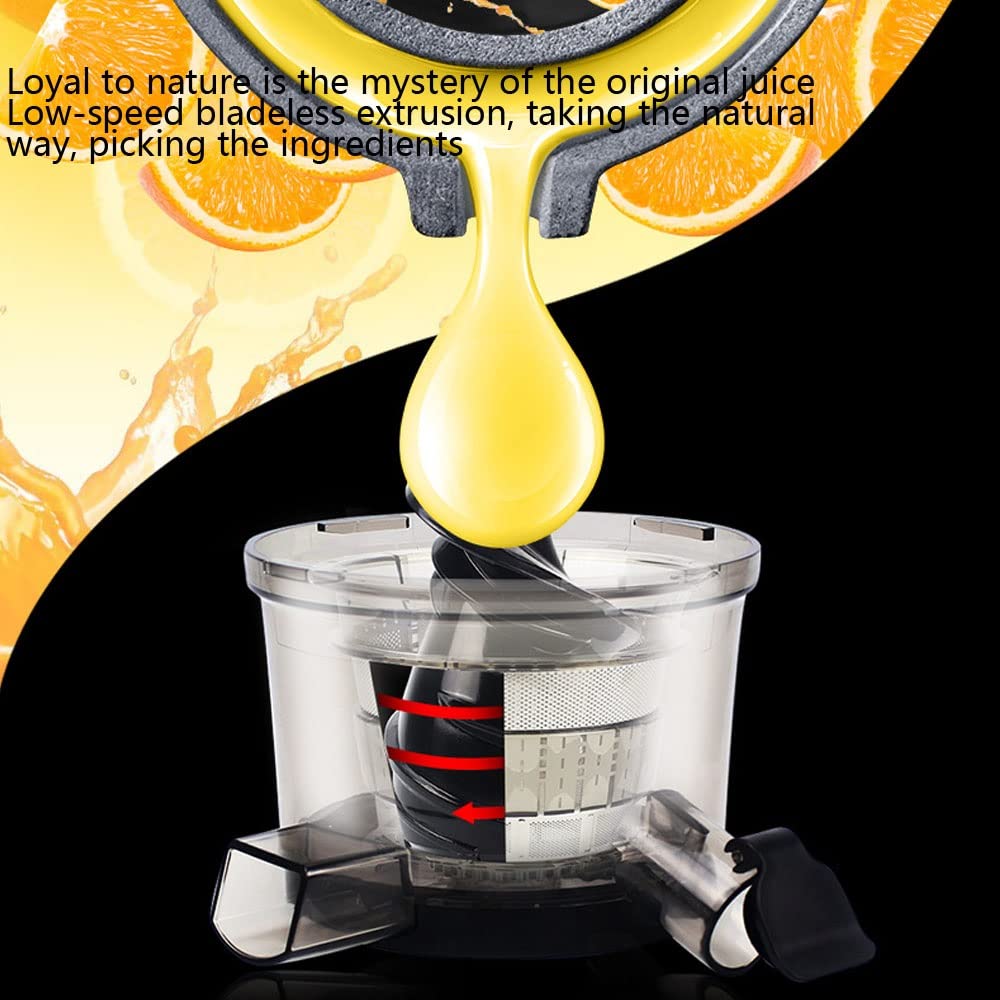2 Inch Wide Mouth Masticating Juicer Machine Slow Masticating Juicer Extractor Cold Press Juicer Machine with Quiet Motor & Reverse Function for Fruits and Vegetables Juice Fountai