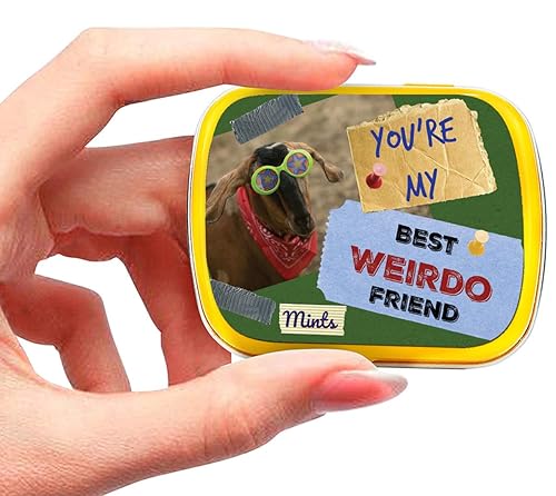 Miniatura 6 de You're My Best Weirdo Friend Mints – Divertido diseño de cabra de menta – Caramelos novedosos para amigos – Mentas de aliento de gaulteria, sin