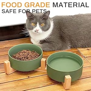 Ptlom Ceramic Pet Bowls for Dog and Cat No Spill Dog Food and Water Bowl Set with Antislip Wooden Stand Riased Puppy Feeding Dishes Suitable for Small Medium and Large Cats Dogs Green 28 Oz Cucciolini Doodles Ptlom ceramic pet bowls for dog and cat no spill dog food and water bowl set with anti slip wooden stand riased puppy feeding dishes suitable for small medium and large cats dogs green 28 oz cucciolini doodles