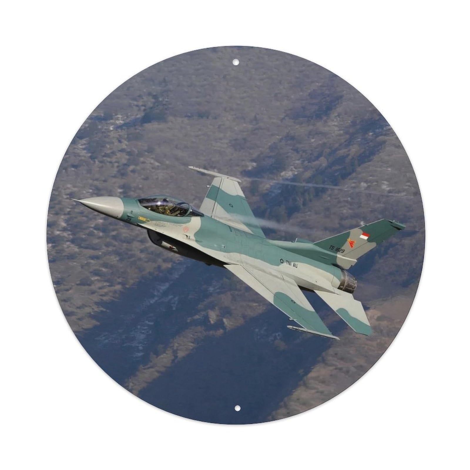 Olyhtr 8X8inch Classic Style F-16 Fighting Falcon Military Fighter Aircraft Classic Metal Tin Sign