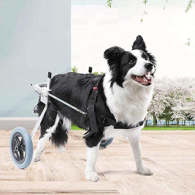 Dog Wheelchair for Hind Legs Rehabilitation, Adjustable 2