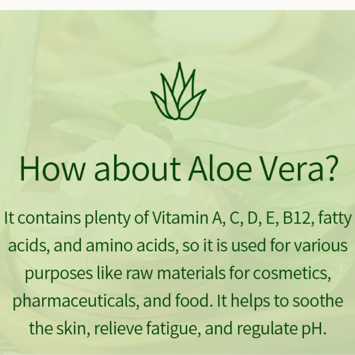 Amazon.com : VENAMINE Korean Aloe Vera Soothing & Moisture 100% Gel Mist,  150 Gram : Beauty & Personal Care