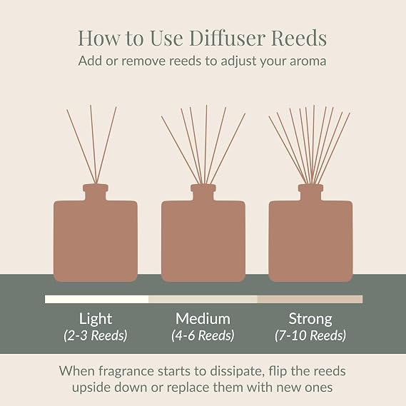 Archipelago Botanicals Stonehenge Reed Diffuser, Home Fragrance Reed Diffuser, Includes Fragrance Oil, Frosted Glass Vessel & 10 Diffuser Reeds, Perfect for Home, Office or Gift, 7.6 Fl Oz