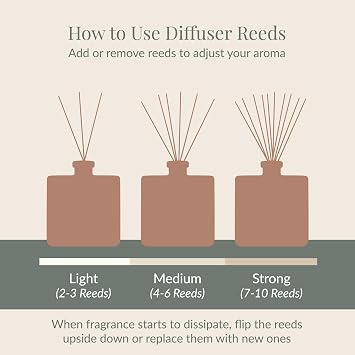 Archipelago Botanicals Stonehenge Reed Diffuser, Home Fragrance Reed Diffuser, Includes Fragrance Oil, Frosted Glass Vessel & 10 Diffuser Reeds, Perfect for Home, Office or Gift, 7.6 Fl Oz
