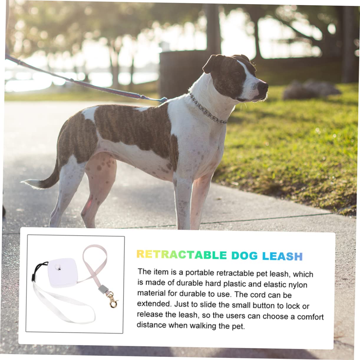 Kisangel 5 Piezas Cuerda retráctil para Perros Correa de retráctil Larga Cinta para Perros Correa para Cachorros Juguete Cuerda para con Freno de una Mano Dog Ropes