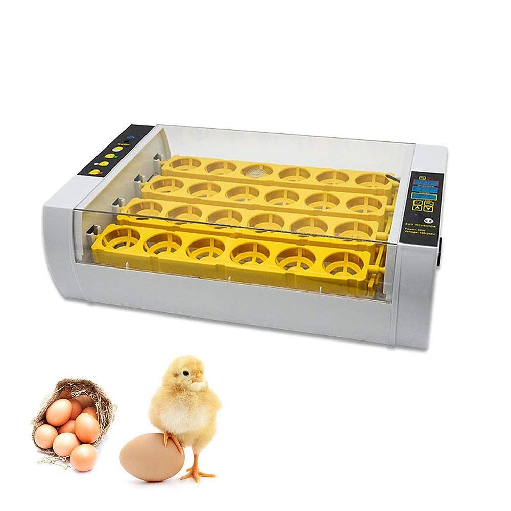 Incubadora De Huevos, Miniincubadora Digital Automática De 24 Huevos, Herramienta para Incubar Aves De Corral, Patos, Aves De Corral, Huevos De Gallina, Control De Temper