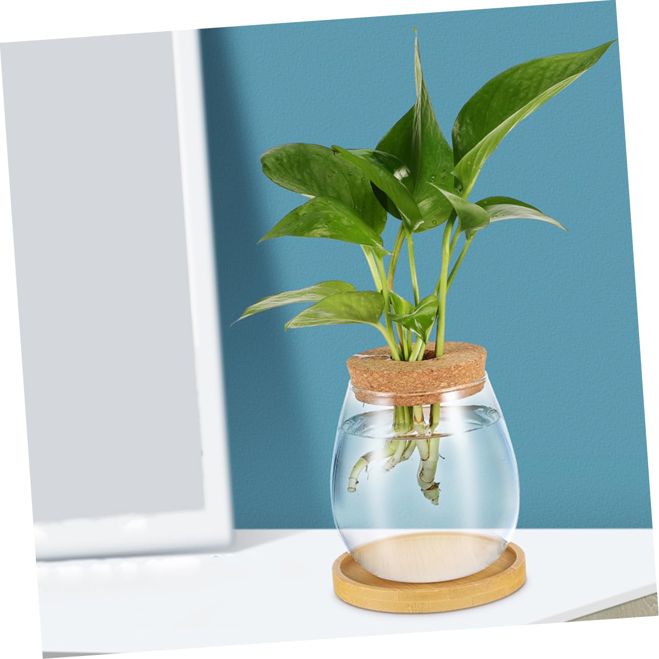 Gatuida 2ensembles Vase De Propagation Eau Verre Transparent Lot de Pots Hydroponiques pour Plantes Intérieur avec Support De Table
