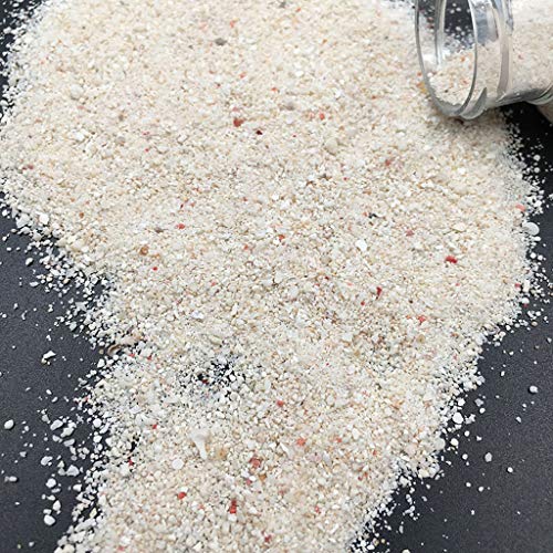 KHZen Coquillage Naturel étoile de mer Pierre Beige Bleu Remplissage de résine UV pour Bricolage résine Moule Remplissage Fabrication de Bijoux pour...