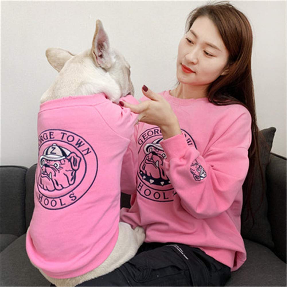 Pull chat et vêtements bouledogue français pour choyer votre ami