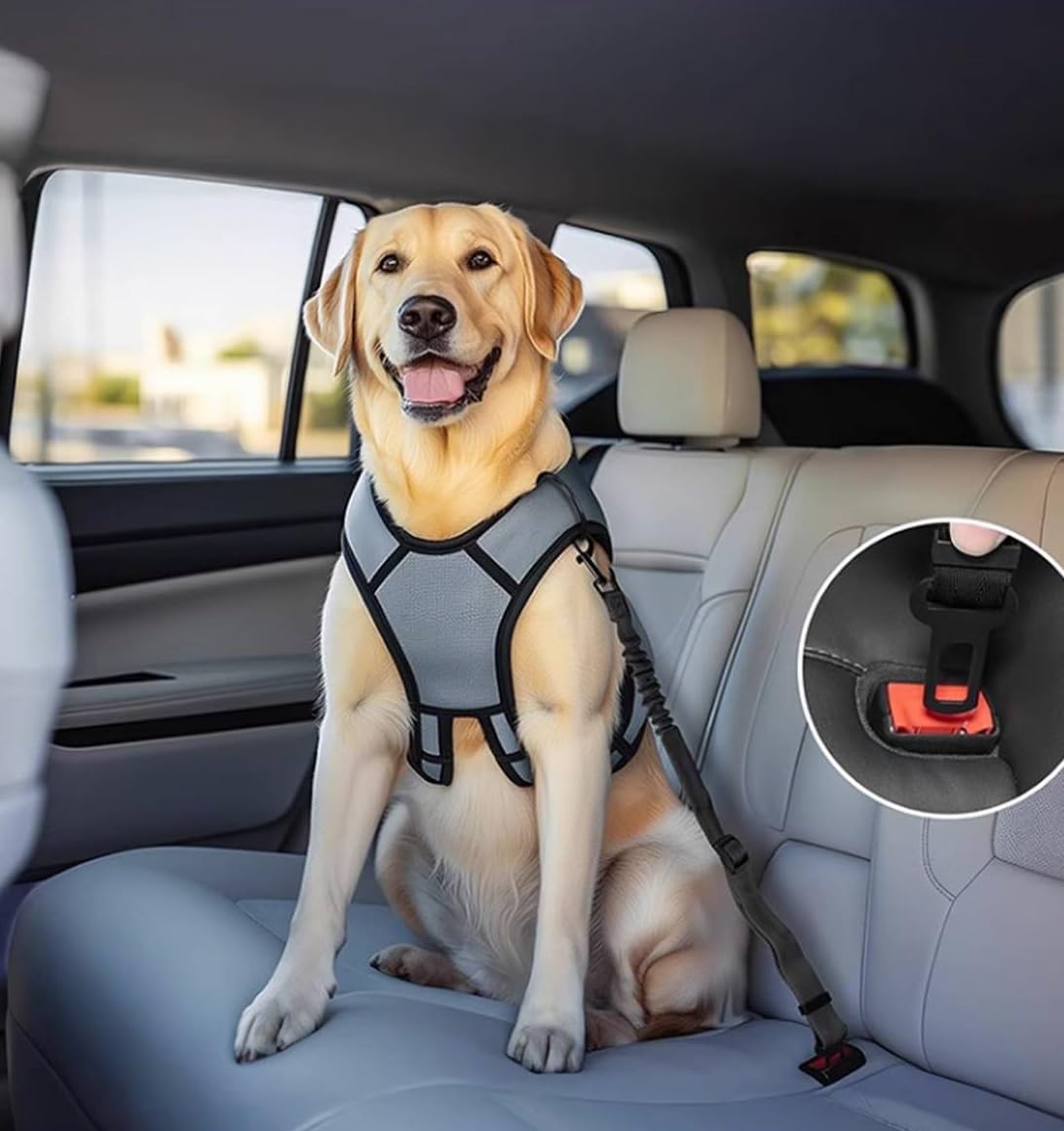 Xzenuo Cinture di sicurezza per cani per auto, imbracatura di sicurezza regolabile per animali domestici con assorbimento degli urti elastico e moschettone in metallo (Nero, 60cm*2)
