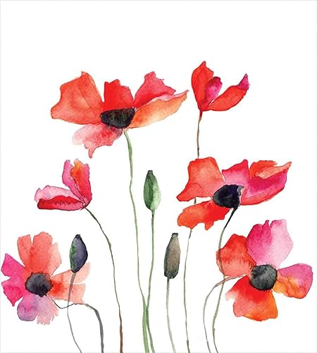 Miniatura 213 de Ambesonne Juego de funda de edredón de brújula, ilustración de mapa del mundo, marinero marítimo, equipo de vida monocromático, juego de ropa