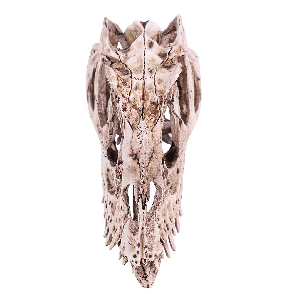 Modello Di Teschio Di Dinosauro In Resina Scheletro Animale Simulato Home Office Decor Craft Insegnamento Prop