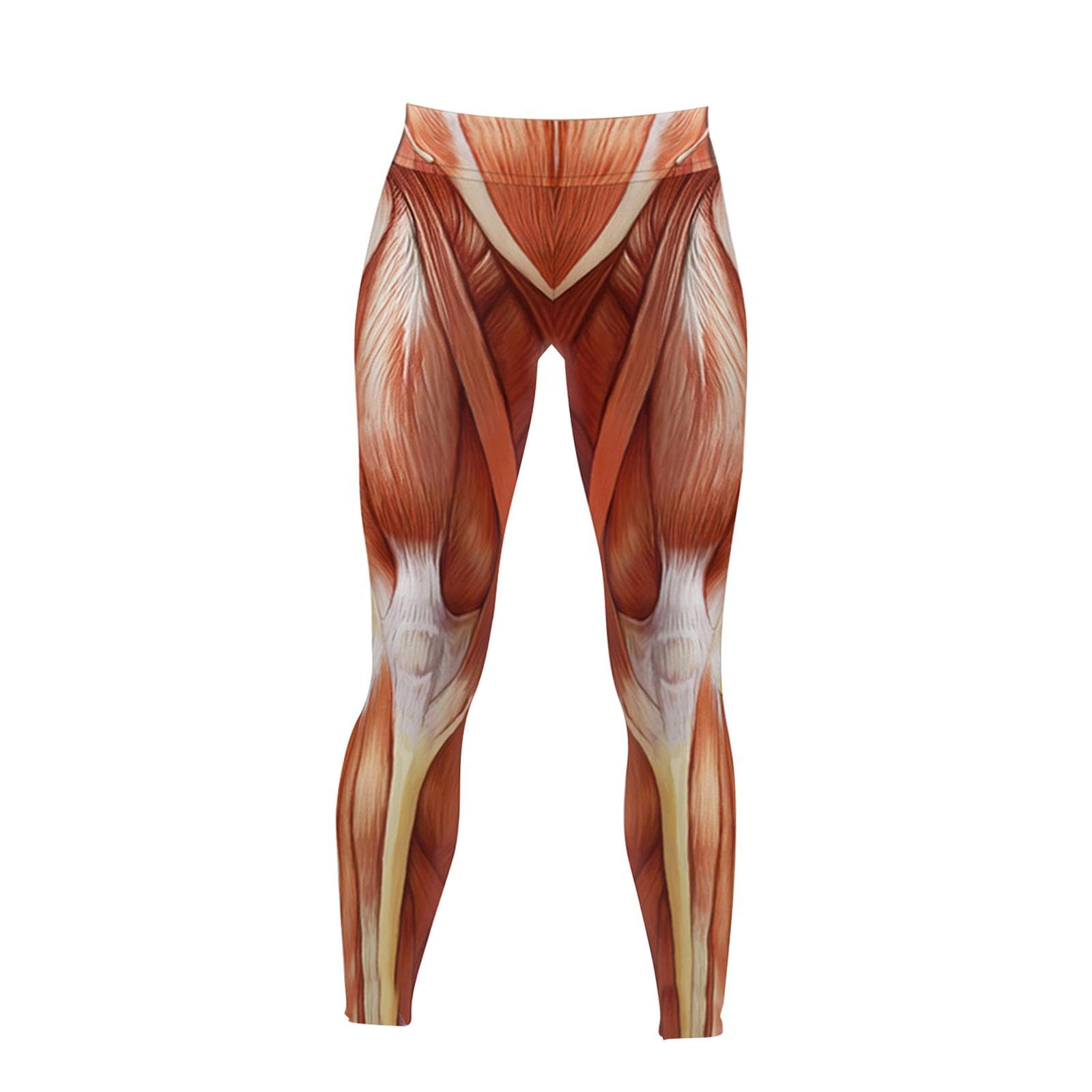 BNF®Women's Fitness Hihg Waist Muscle Printed Elastic Leggings for Running Women 2XL|Clothing, Shoes & Accessories|Womens Clothing|Leggings|Package Includes:1 Anatomical Muscle Legging-image-15