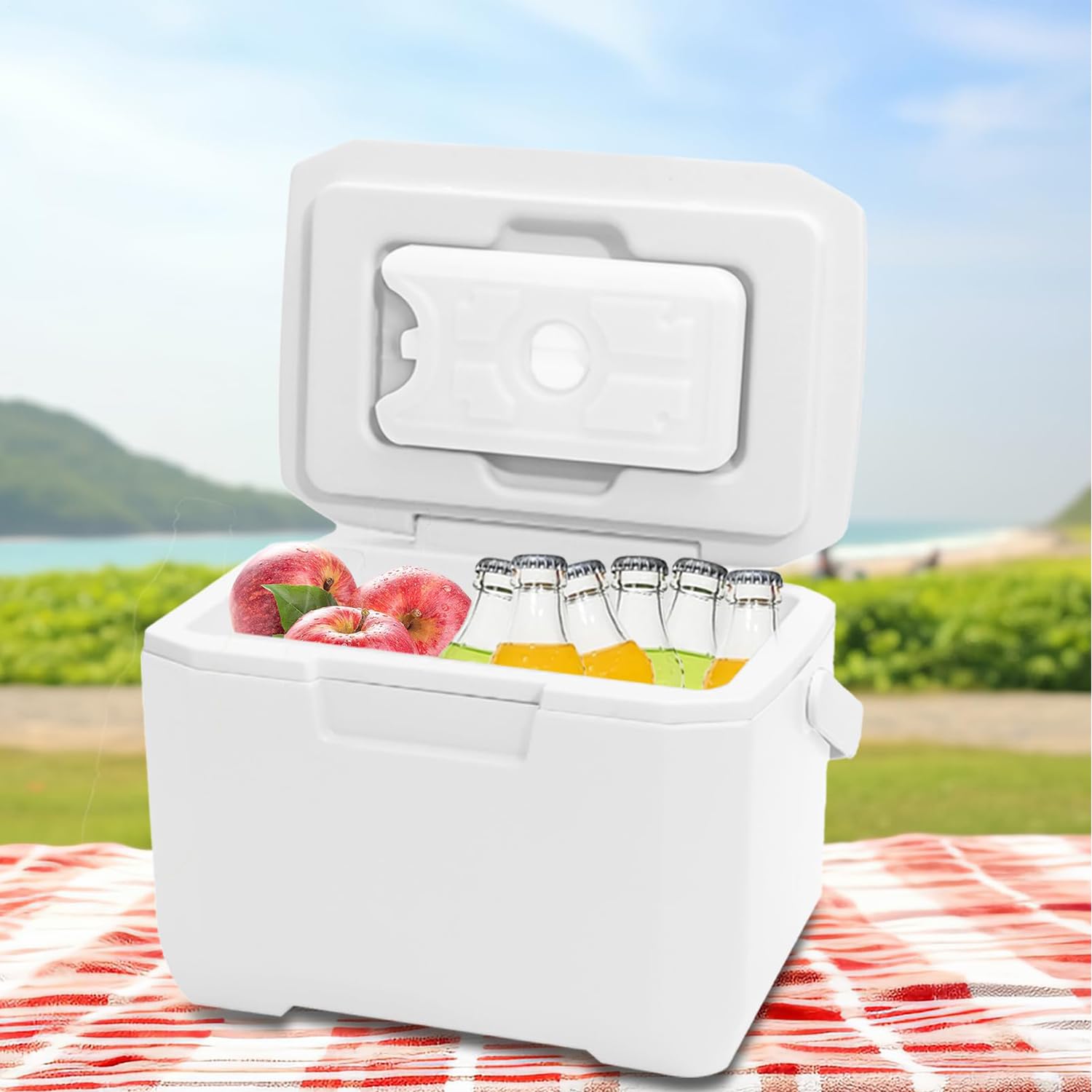 Mini Glaciere Pochette Isotherme Glaciere Rigide Sacoche Isotherme Repas Sac Pique Nique GlacièRe Portable White