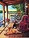 Dimensions Log Cabin Porch Paint by Numbers Kit for Kids and Adults, 14'' x 20''