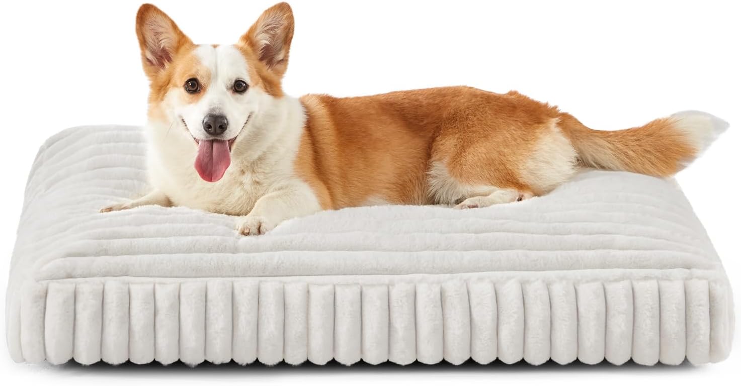 Dog Bed Medium Size Dog, Flat Pet Beds with Removable Washable Cover, Pet Mat Cute Crate Bed Thick Shredded Chopped Crate Foam & Anti Slip Bottom for Indoor, 29"x21"x3" Cream