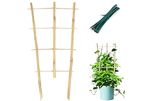 3 Pack Min Bamboo Trellis 16 in Fan-Shaped Plant Support