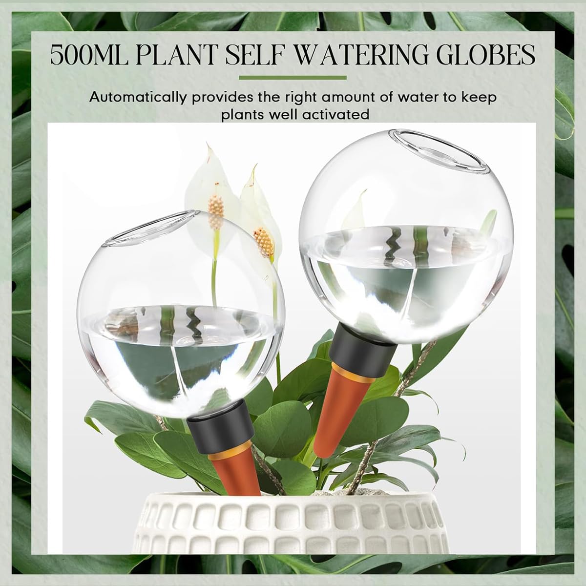 Lot de 4 Boules D'Irrigation pour Plant, Distributeur Eau Plante, 500 ML Arrosage Automatique Plante Intérieur, pour Jardins, Maisons, Espaces Intérieurs et Extérieurs