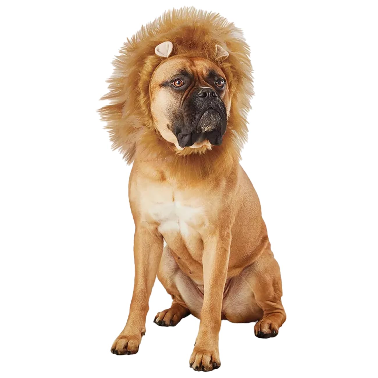 Hyde & EEK! Boutique Lion Ruff Headwear Dog and Cat Costume Large/X-Large