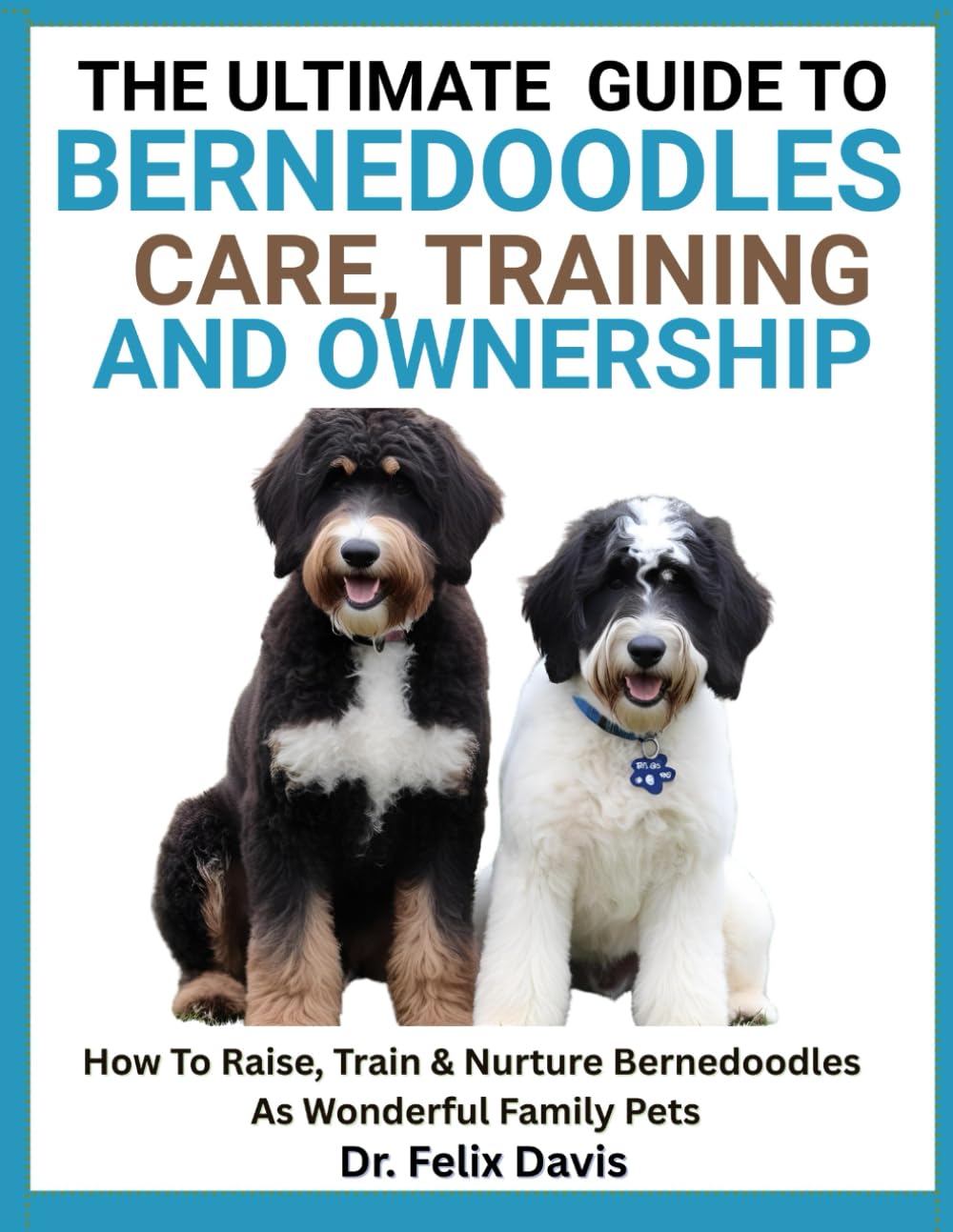 THE EASY GUIDE TO BERNEDOODLES CARE, TRAINING, AND OWNERSHIP: How To Raise, Train & Nurture Bernedoodles As Wonderful Family Pets