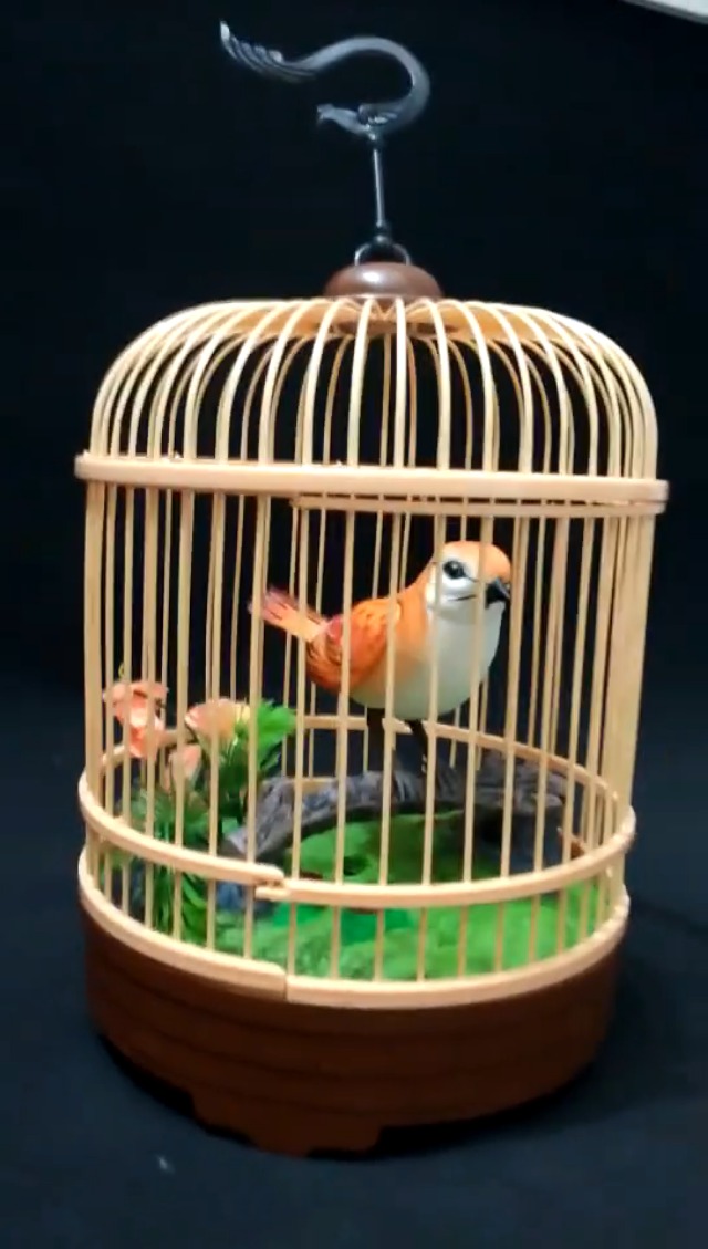 Amazon.com: PowerTRC Singing & Chirping Bird in Cage, Realistic
